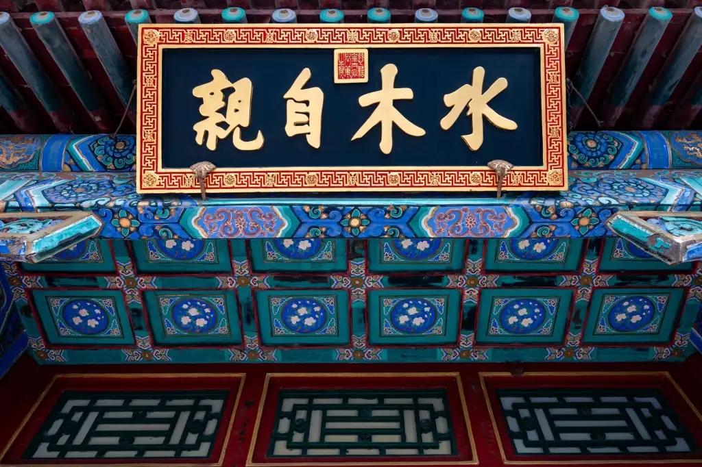 综合医院多学科协作诊疗模式的实施要点与质量控制分析