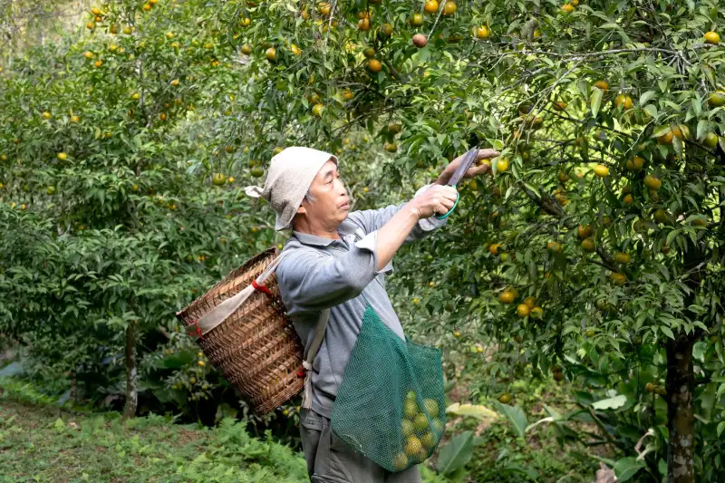 巴彦淖尔河大附属医院健康体检套餐对比及个性化选择指南