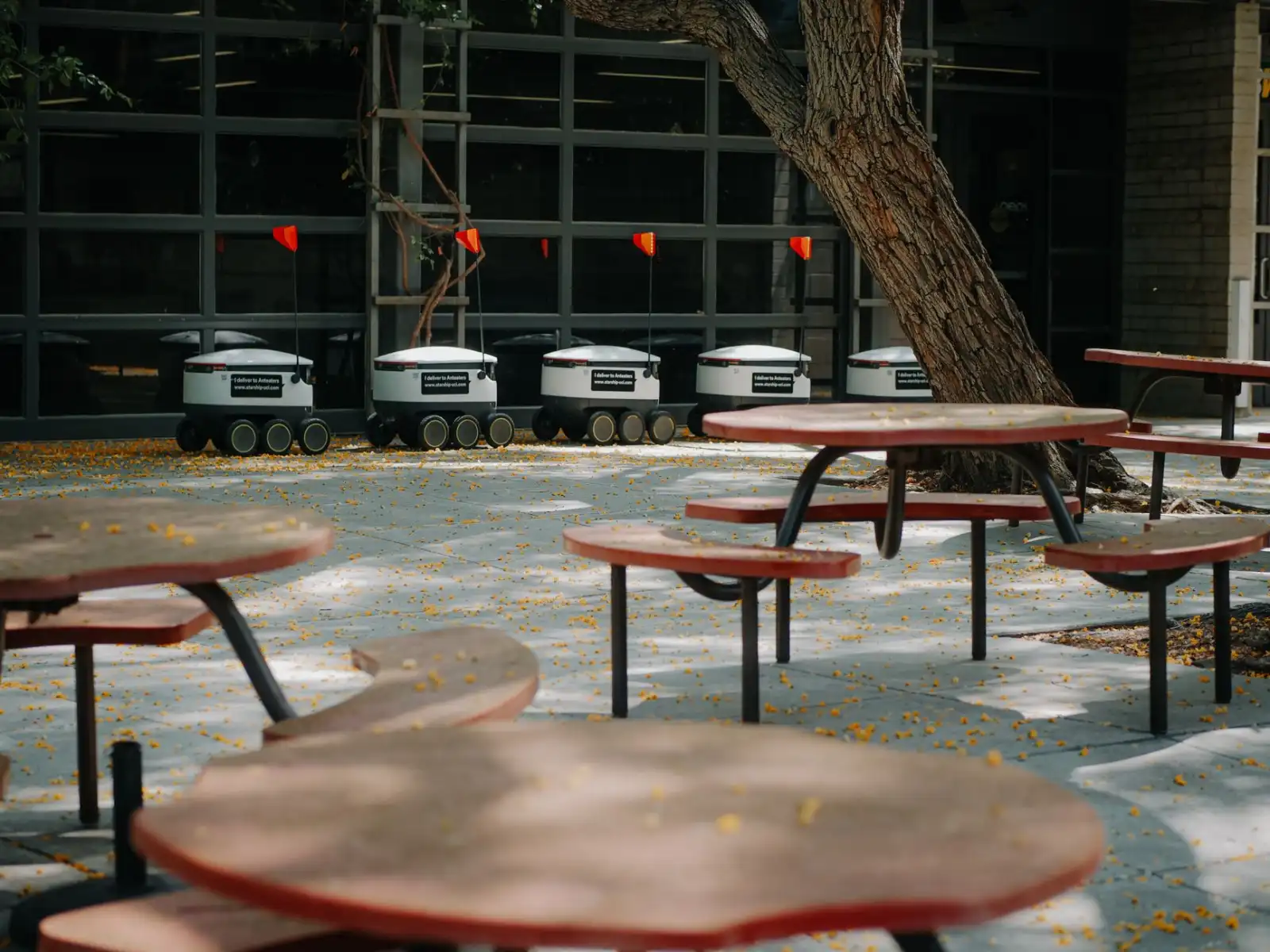 临河区居民健康体检方案选择指南：个性化套餐设计要点