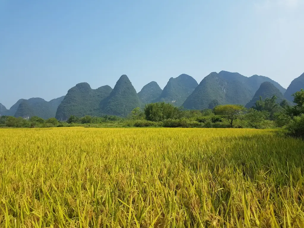 临河区健康体检服务方案对比：河大附属医院个性化套餐设计与选择