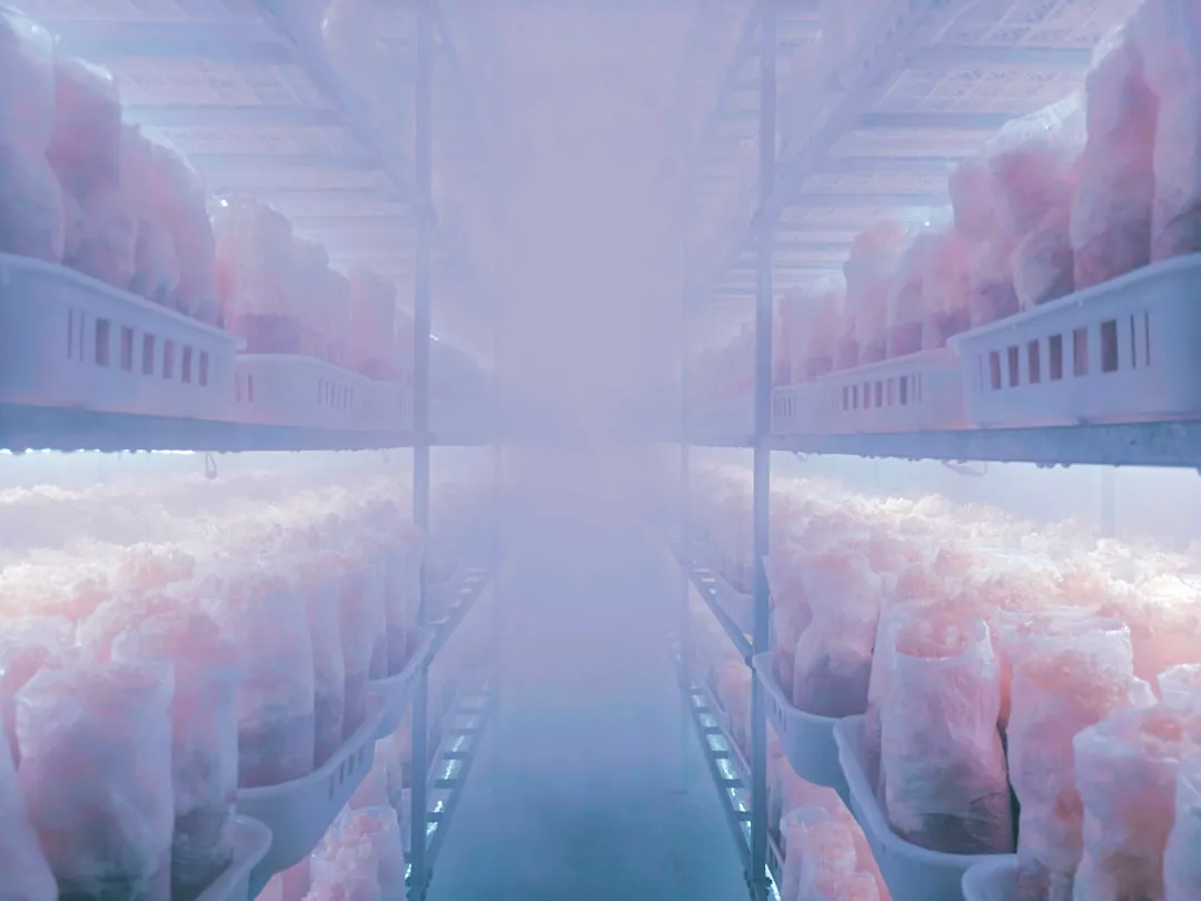 巴彦淖尔河大附属医院综合体检套餐项目解析与适用人群指南