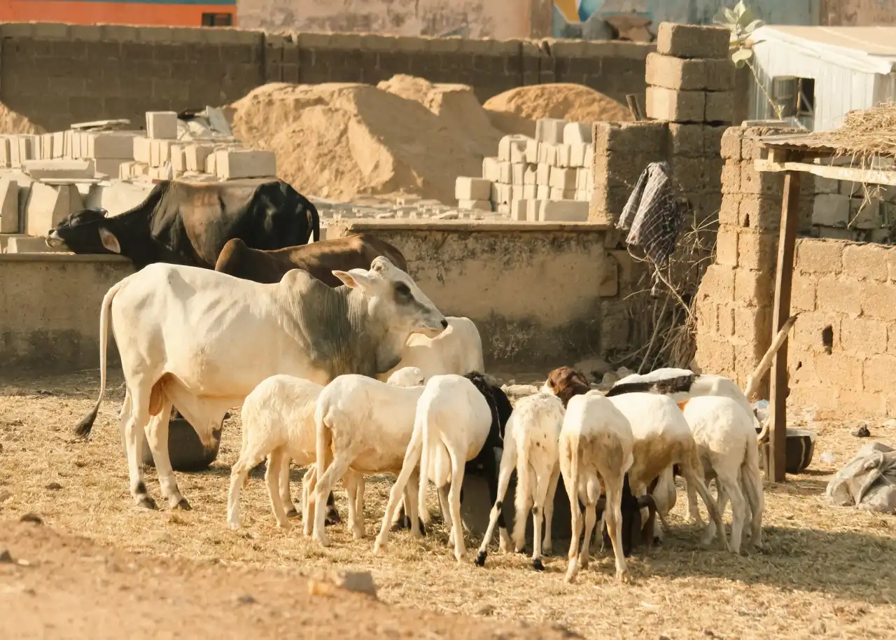 巴彦淖尔综合医院学科建设新趋势与多科室协作诊疗模式探讨